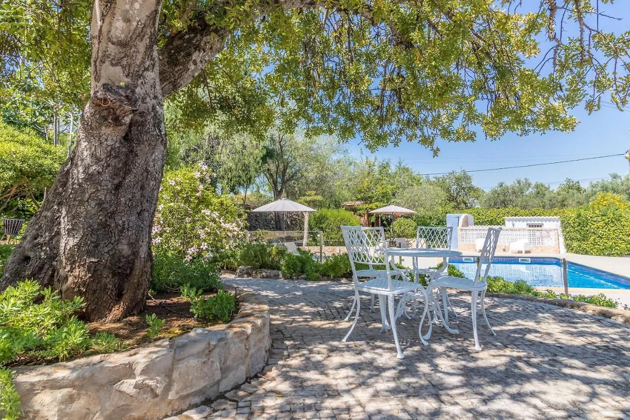 Farm Of Dreams Algarve Villa Almancil